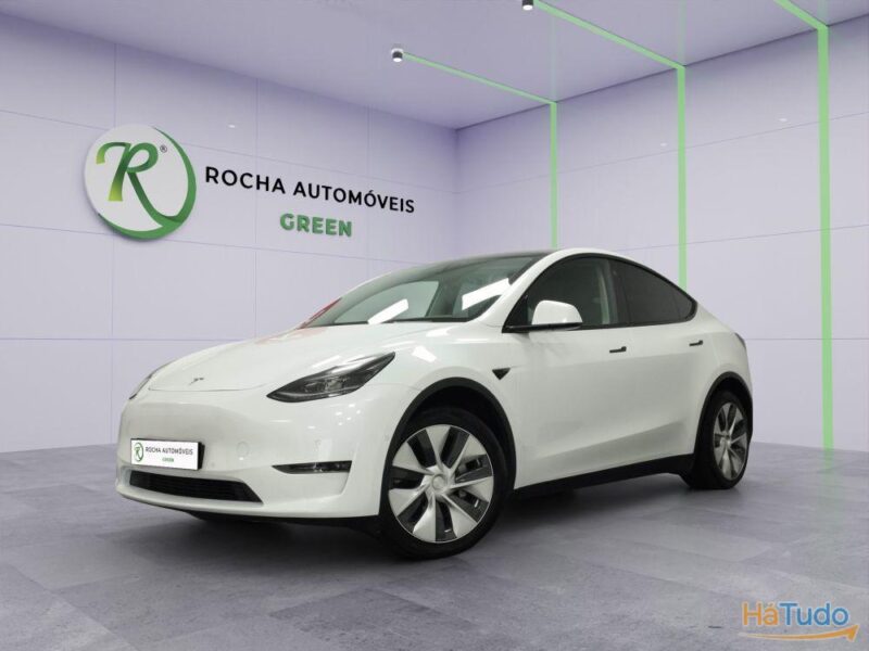 Tesla Model Y Max Range Dual 75 kWh